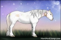 Horse Color:White Spotted Silver Bay Ice Tobiano 