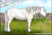 Horse Color:Silver Bay Ice Dun Sabino Splash Tobiano 