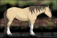 Horse Color:Amber Cream Champagne Tobiano 