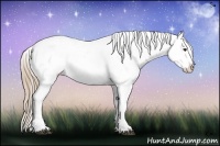 Horse Color:White Spotted Liver Chestnut Ice Splash Tobiano Appaloosa Rabicano 
