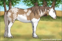 Horse Color:Liver Red Dun Ice Splash 