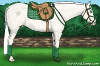 Horse Color:Silver Perlino Dun 