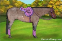 Horse Color:Bay Roan Rabicano