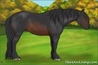 Horse Color:Brown Frame 