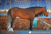 Horse Color:Brown 