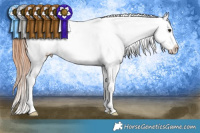 Horse Color:Bay Splash Tobiano Near Leopard 
