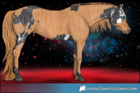 Horse Color:Black Splash  Brindle