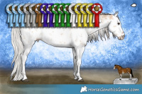 Horse Color:White Spotted Silver Brown Dun Sabino 