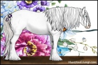 Horse Color:Cremello Sabino Appaloosa