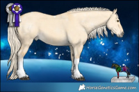 Horse Color:Palomino Dun Tobiano