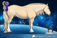 Horse Color:Palomino Dun Tobiano