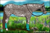 Horse Color:Liver Chestnut Ice 