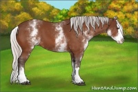 Horse Color:White Spotted Silver Bay Splash 