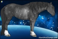 Horse Color:Black Rabicano 