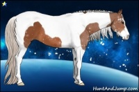 Horse Color:Silver Bay Sabino Tobiano 