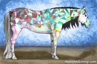 Horse Color:Bay Sabino Splash Rabicano