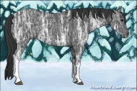 Horse Color:Black Ice Tobiano