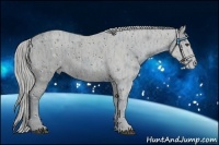 Horse Color:ERROR: UNKNOWN ANOMALY Brindle