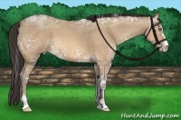 Horse Color:Amber Champagne Ice Sabino