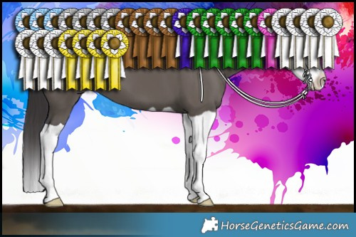 Horse Color:Smoky Grullo Splash 