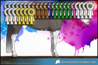 Horse Color:Smoky Grullo Splash