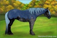Horse Color:ERROR: UNKNOWN ANOMALY Brindle