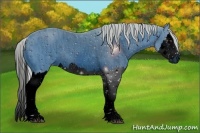 Horse Color:ERROR: UNKNOWN ANOMALY Brindle