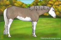 Horse Color:Silver Grullo Splash