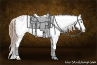 Horse Color:White Spotted Smoky Black Splash Appaloosa 