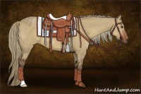 Horse Color:Liver Red Dun 