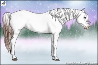 Horse Color:Brown Appaloosa  Brindle