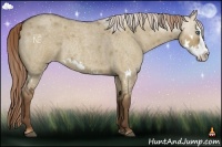 Horse Color:Liver Red Dun Roan Splash Frame Rabicano 