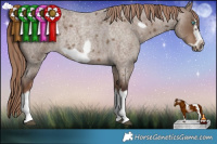 Horse Color:Liver Red Dun Roan Splash Frame Rabicano 