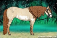 Horse Color:Red Dun Roan Splash Frame Rabicano 