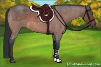Horse Color:Bay Roan 