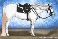 Horse Color:Amber Cream Champagne Roan Splash Appaloosa