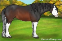 Horse Color:Brown Splash