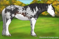 Horse Color:Brown Ice Splash 