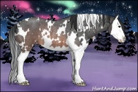 Horse Color:White Spotted Brown Roan Splash Rabicano