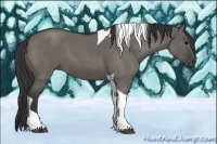 Horse Color:Grullo Roan Tobiano