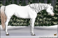 Horse Color:Black Pearl Appaloosa