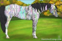 Horse Color:Black Ice 