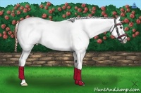 Horse Color:Brown Splash Snowcap 