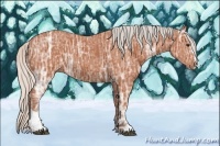 Horse Color:Silver Bay Ice Sabino 