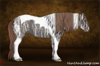 Horse Color:Liver Chestnut Ice Sabino Tobiano 
