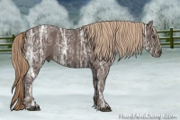 Horse Color:Liver Chestnut Ice Sabino 