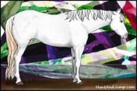 Horse Color:Black Splash Appaloosa 