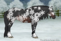 Horse Color:Brown Ice Rabicano