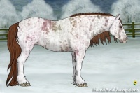 Horse Color:Red Ice Roan 
