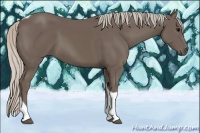 Horse Color:Silver Black Tobiano